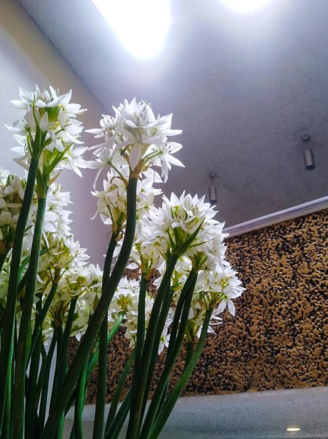 Hotel Atelier Bogotá Dış mekan fotoğraf